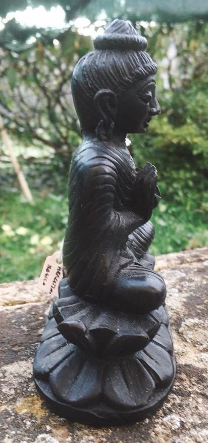 Statua Buddha 1498