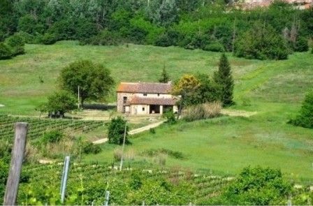 Villa indipendente con piscina nel Chianti