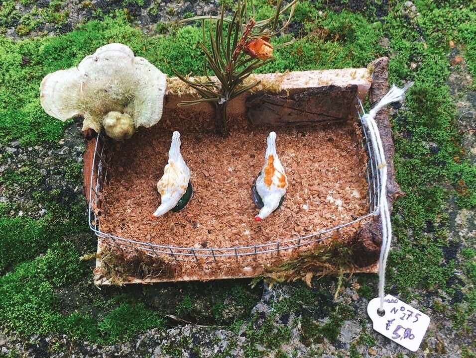 Recinto Galline NAdd275