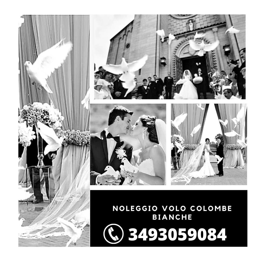 Volo lancio colombe bianche per matrimoni Napoli