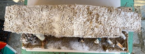 Presepe Capanna Maxi ( NPre10 )