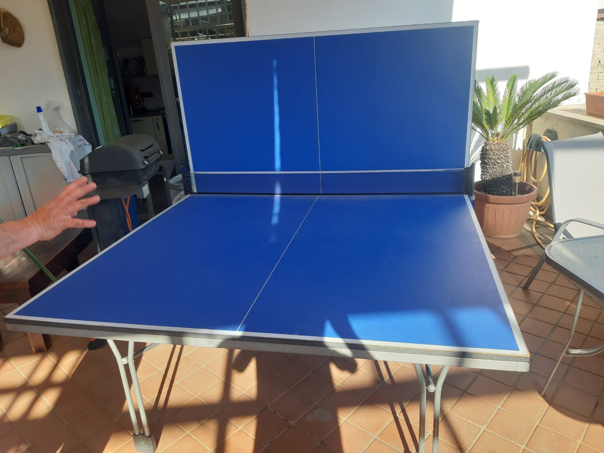 Tavolo da PingPong regolamentare