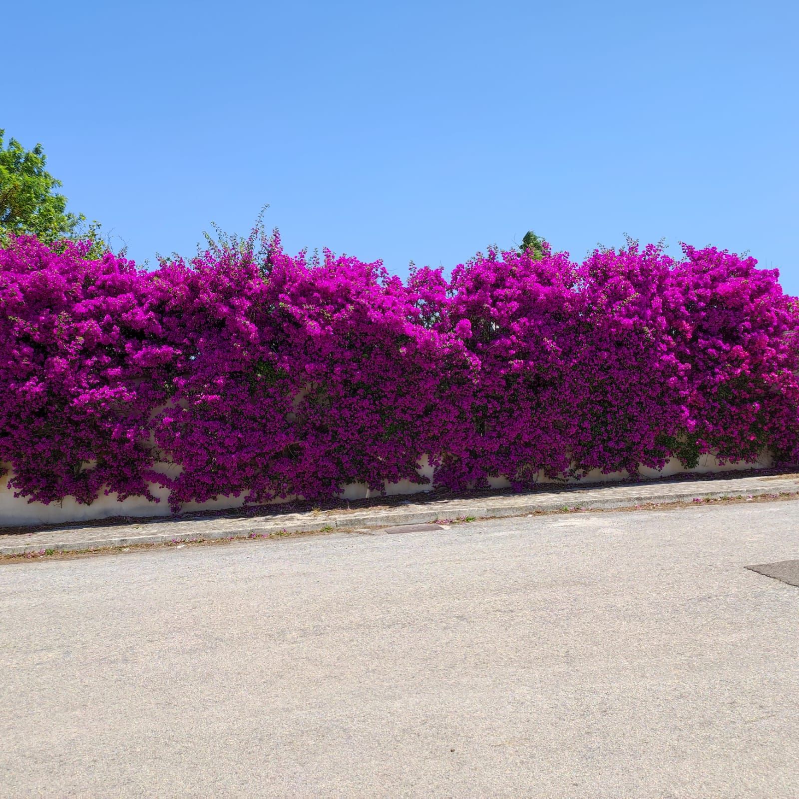 Lecce via merine villa libera sui 4 lati 