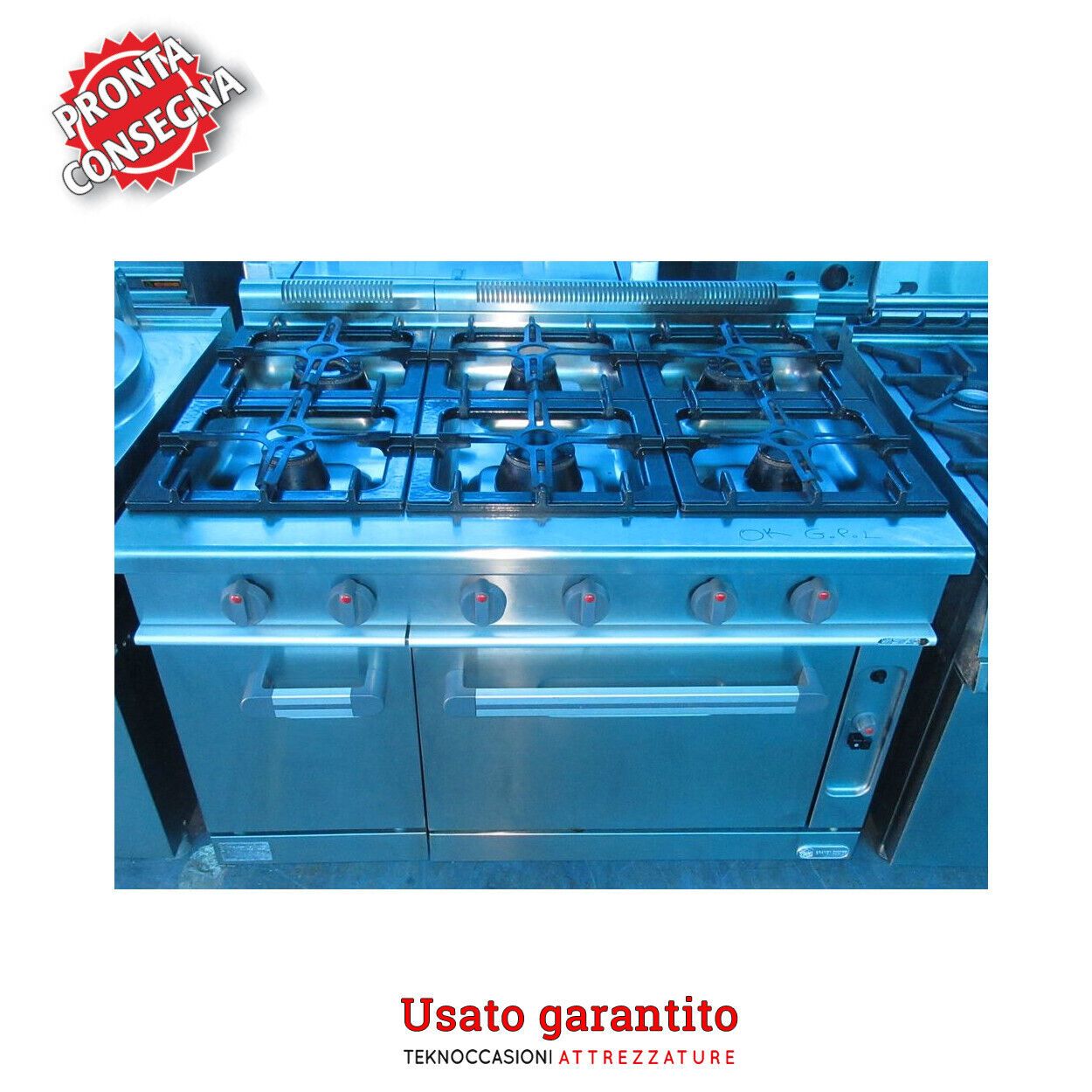 Cucina a gas professionale 6 fuochi con forno 