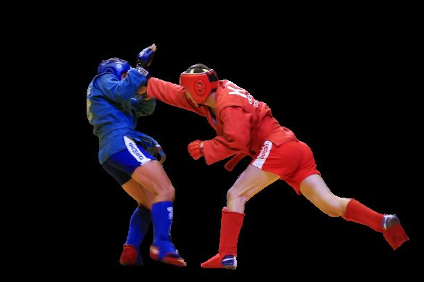 Stage di Sambo Combat Milano