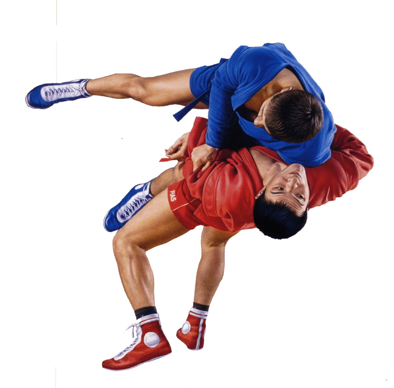 Stage di Sambo Combat Milano